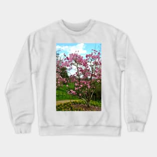 Magnolia Tree Batsford Arboretum Cotswolds UK Crewneck Sweatshirt